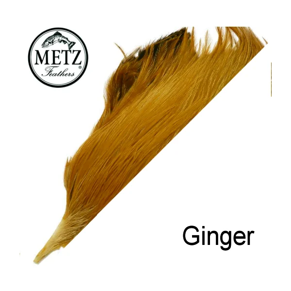 1/2 Cuello Metz 3º Categoria