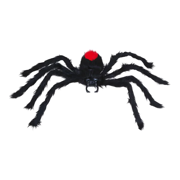 Araña de 60 cm peluda negra de espalda roja