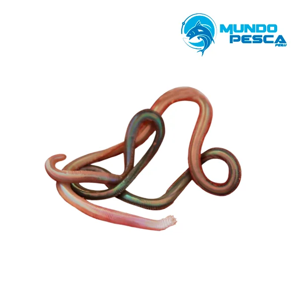 Carnada natural MUNDO PESCA® LOMBRIZ MACHETE - 12 UDS