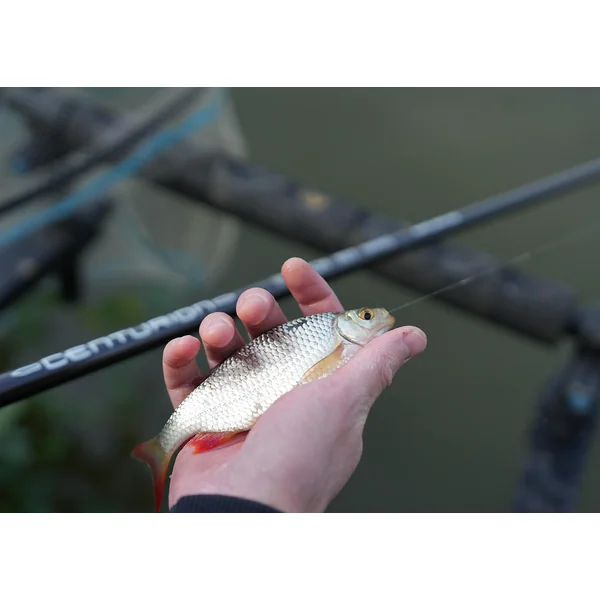Cresta Centurion Comp Pro S440 Standard Pack Caña Fija 1,5 m