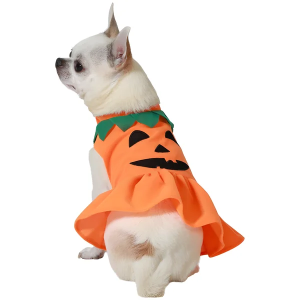 Disfraz de calabaza con volante para perro
