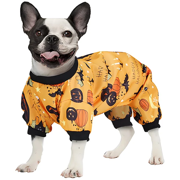 Disfraz de calabazas para perro