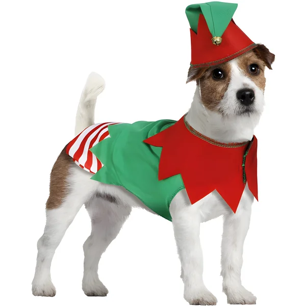 Disfraz de Elfo navideño para perro