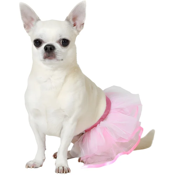 Disfraz de tutú rosa para perro