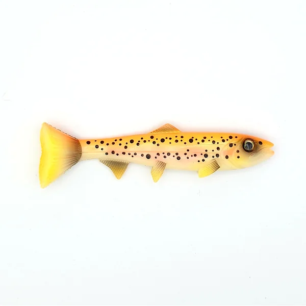 Hostagevalley Troubletail 26cm (195g) Transparent Perch - Imagen 11