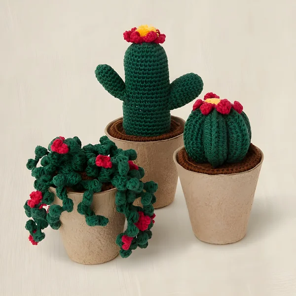 Kit de crochet con caja regalo - Colección de cactus - DMC