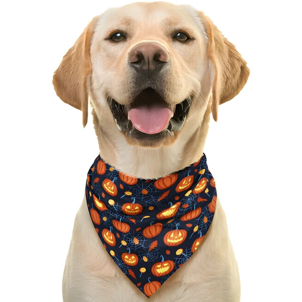 Pañuelo de calabazas para mascotas