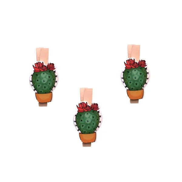 Pinzas de Cactus con flor de 4,8 cm - 3 unidades