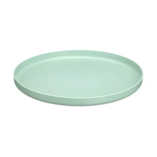 Plato de 25 cm llano reutilizable - 1 unidad