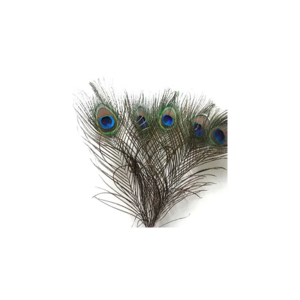 Pluma De Ojo Pavo Real