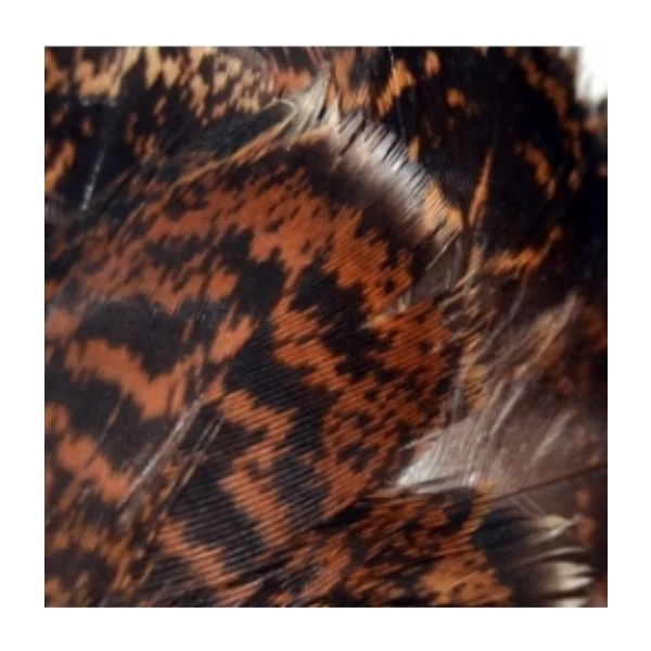 Plumas De Becada