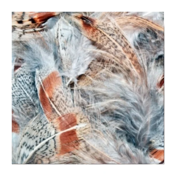 Plumas De Perdiz Pardilla