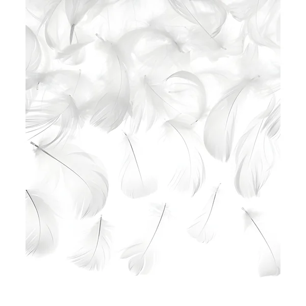 Plumas decorativas - 3 gr - Imagen 4