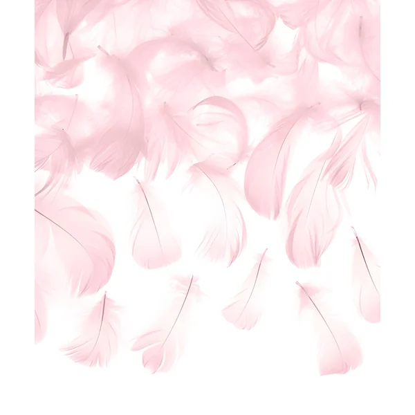 Plumas decorativas - 3 gr - Imagen 5