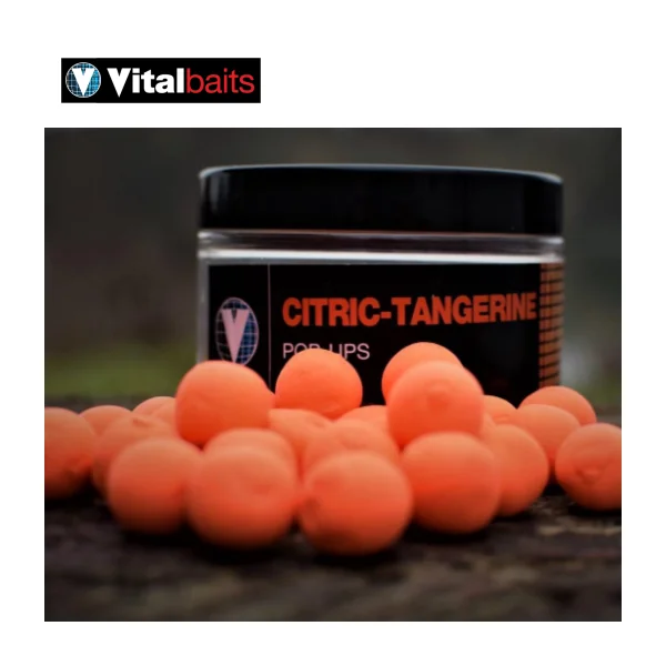 Pop Ups Vitalbaits Citric-Tangerine
