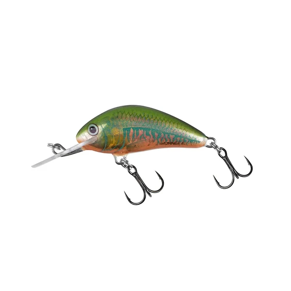 Salmo Hornet 2,5cm 1,5 Sinking 0,5-1,0 Holo Oikawa
