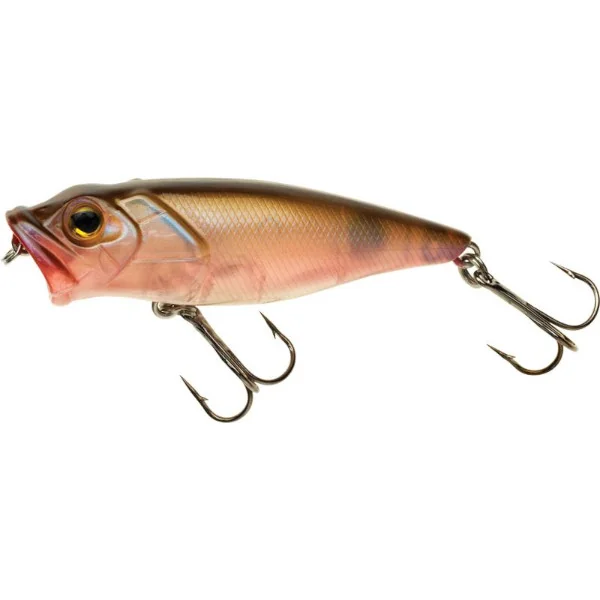 Swimy Popper 85 - 85mm - 18gr - C20