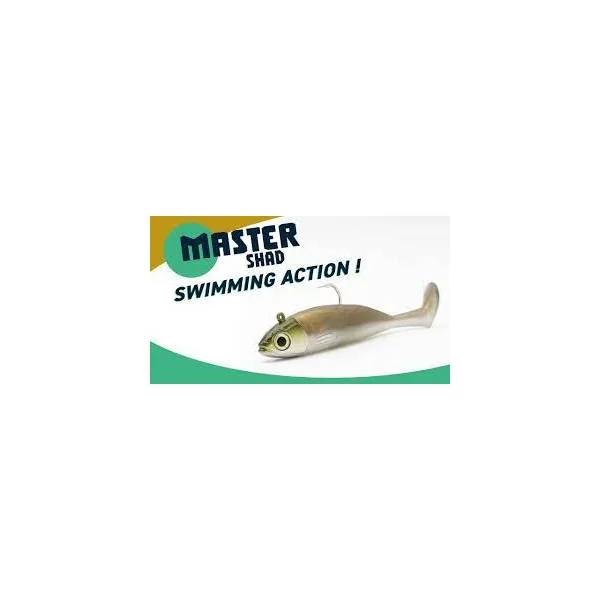 Vinilo Master Shad 100-15gr de Fiish